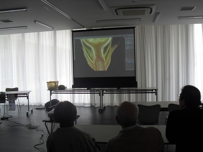 写真　身近な自然を楽しもう　講座の様子