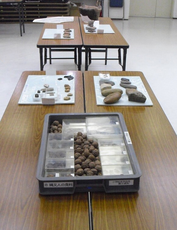 ヒストリーカフェ「向小金で暮らした縄文人」発掘資料