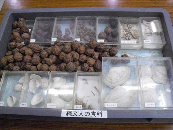 ヒストリーカフェ「向小金で暮らした縄文人」その他の発掘物1