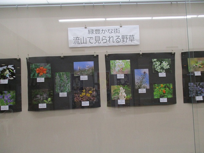 展示風景1
